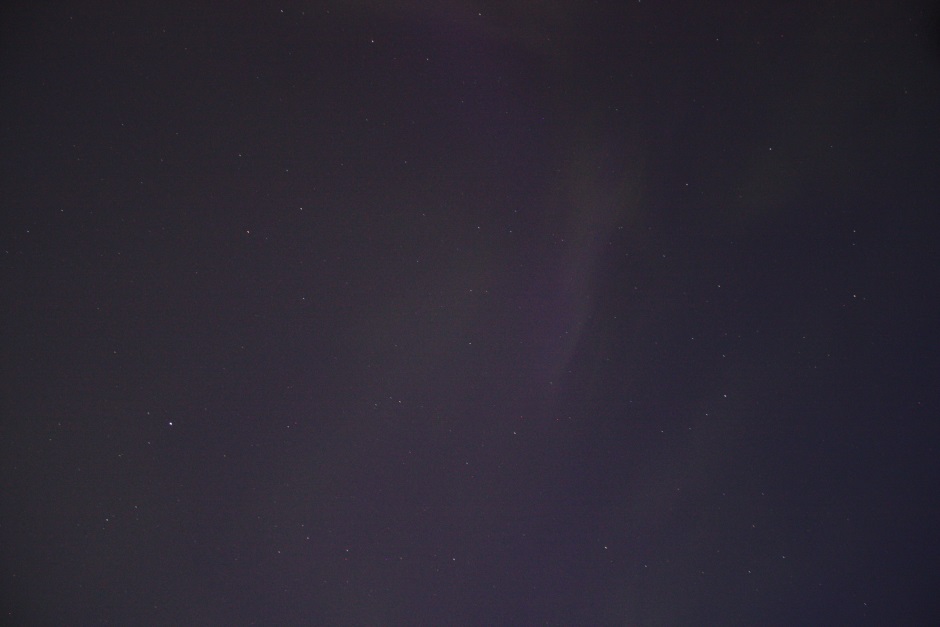 Aurora looking Up