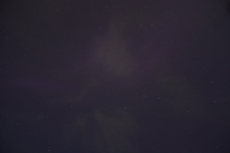 Aurora looking Up