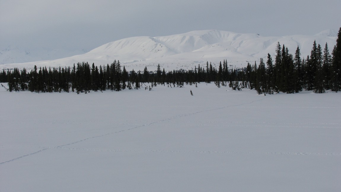 South of Hurricane Gulch