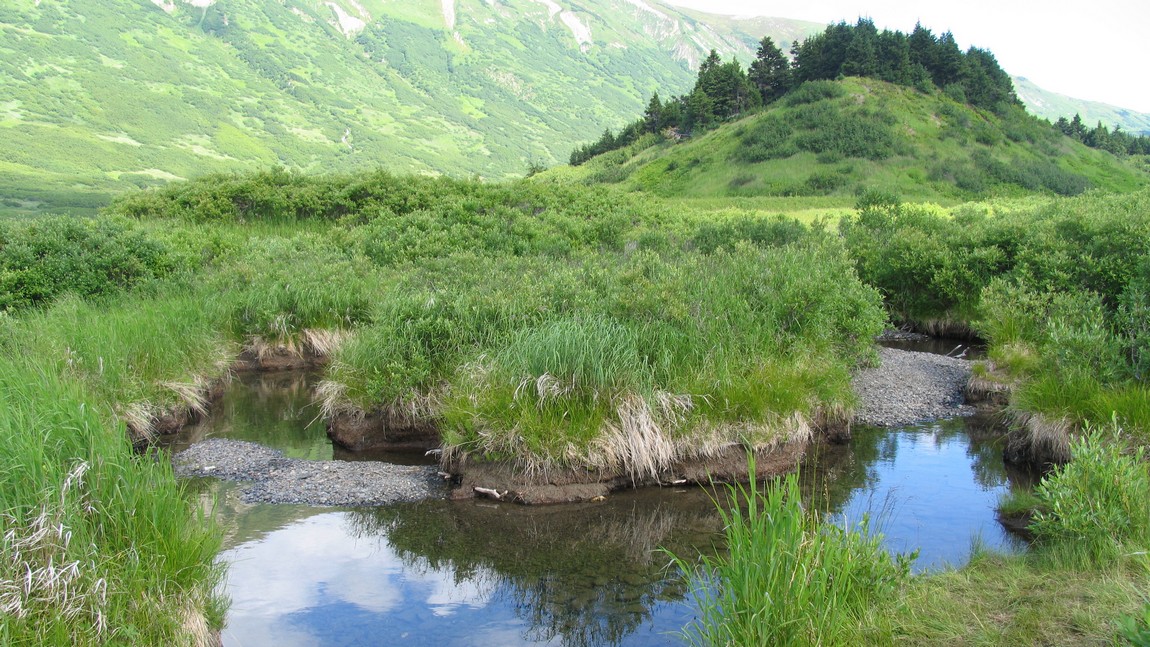 Stream in Turnagain Pass