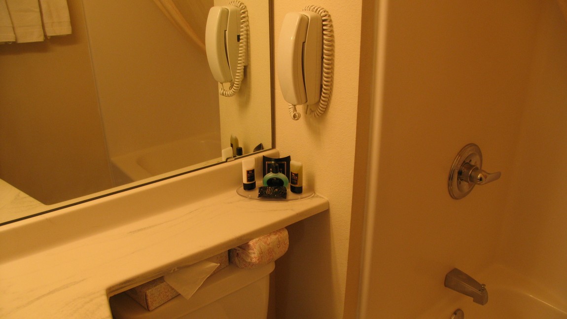 Telephone in the bathroom