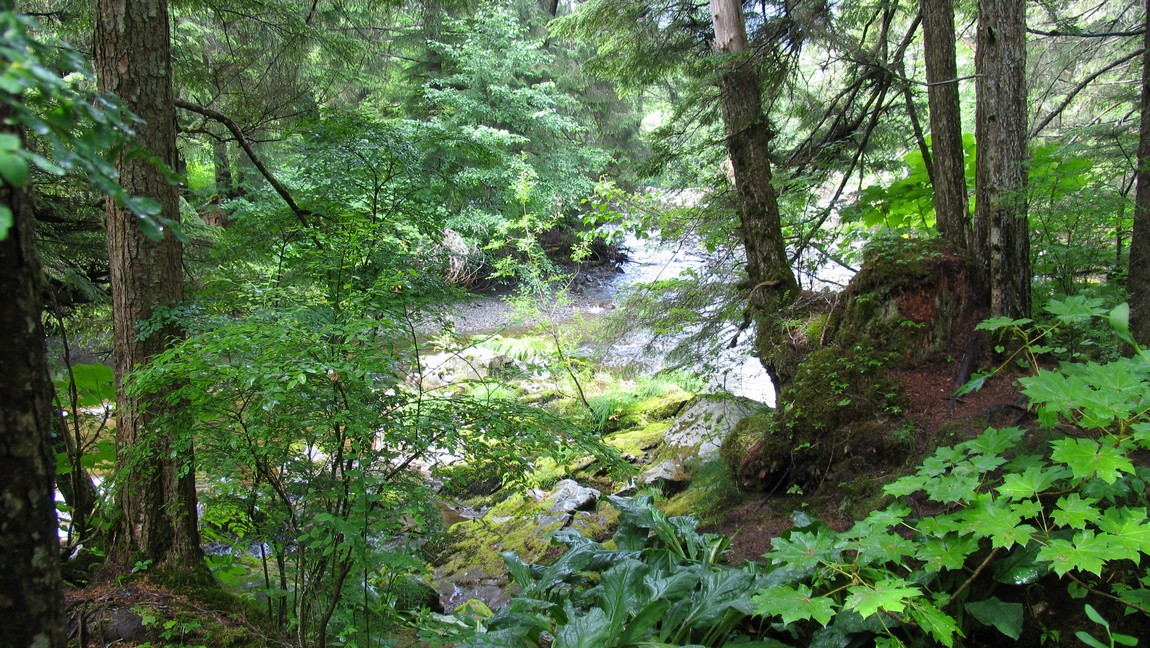 Walking trail
