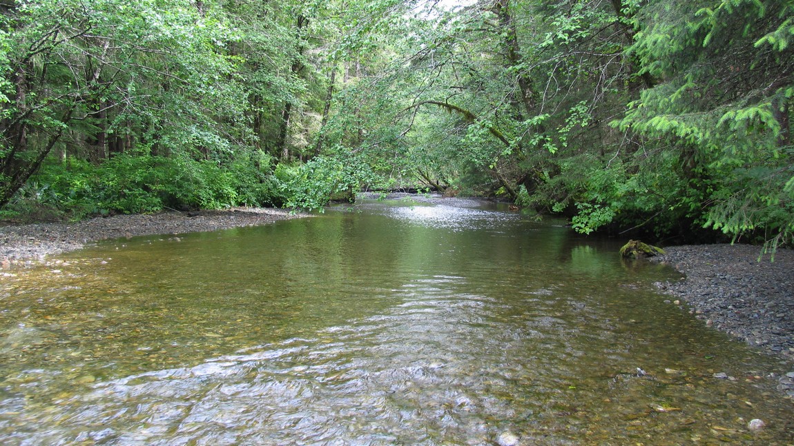 Walking trail