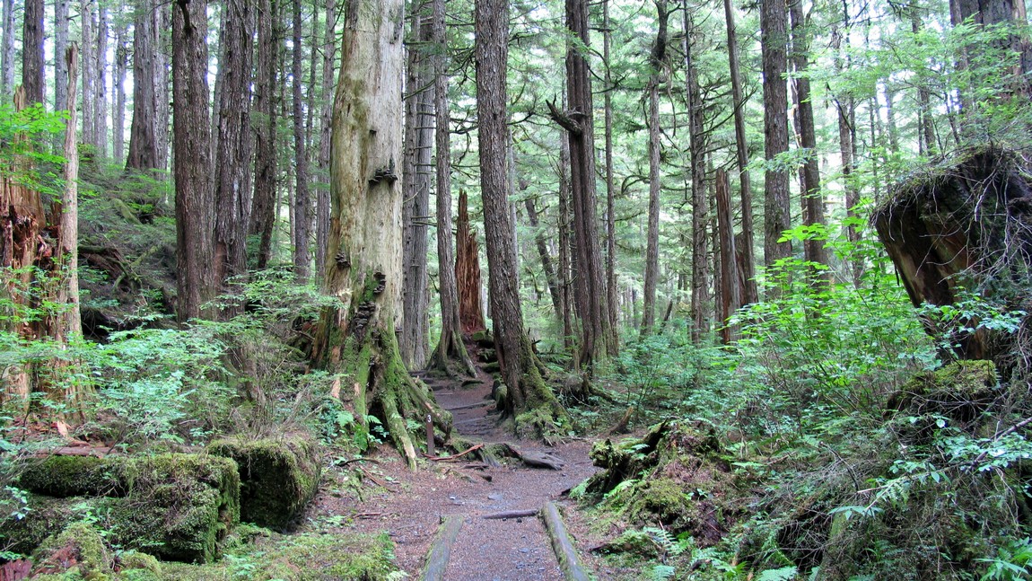 Rainbow Falls trail