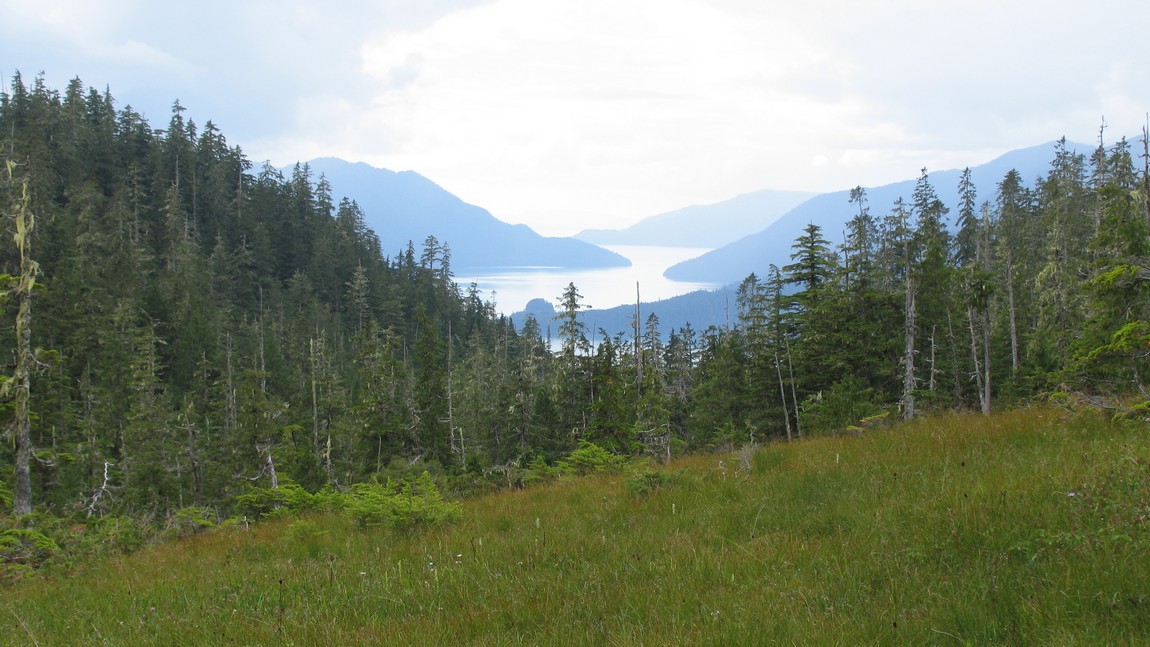 Rainbow Falls upper overlook