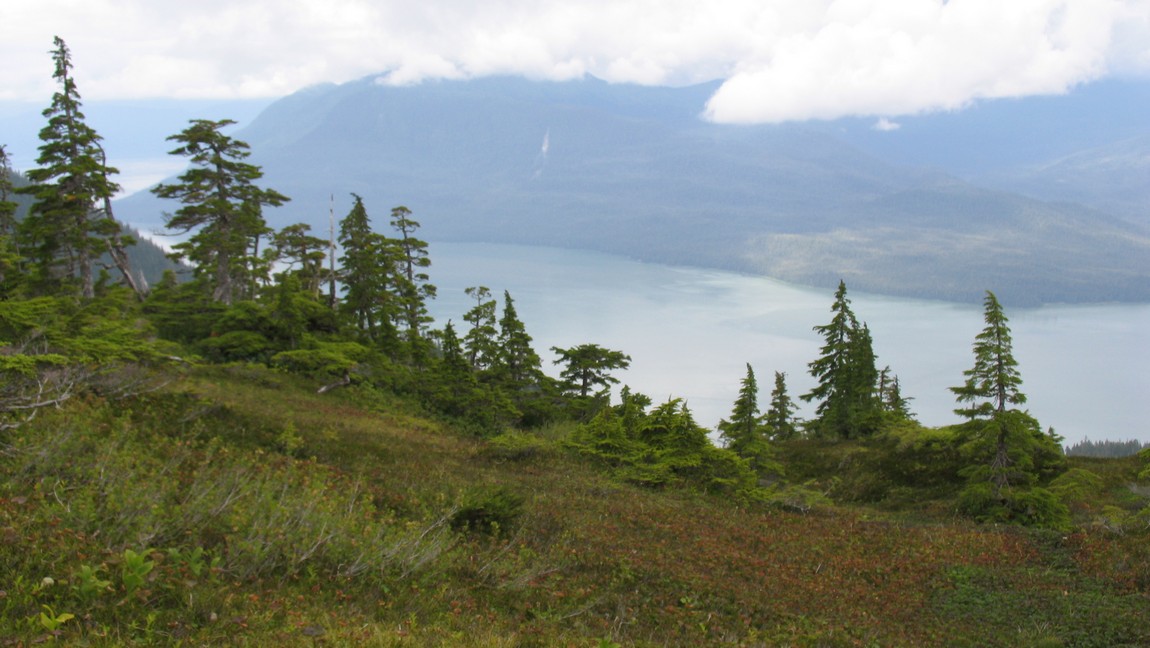 North Wrangell High Country Shelter