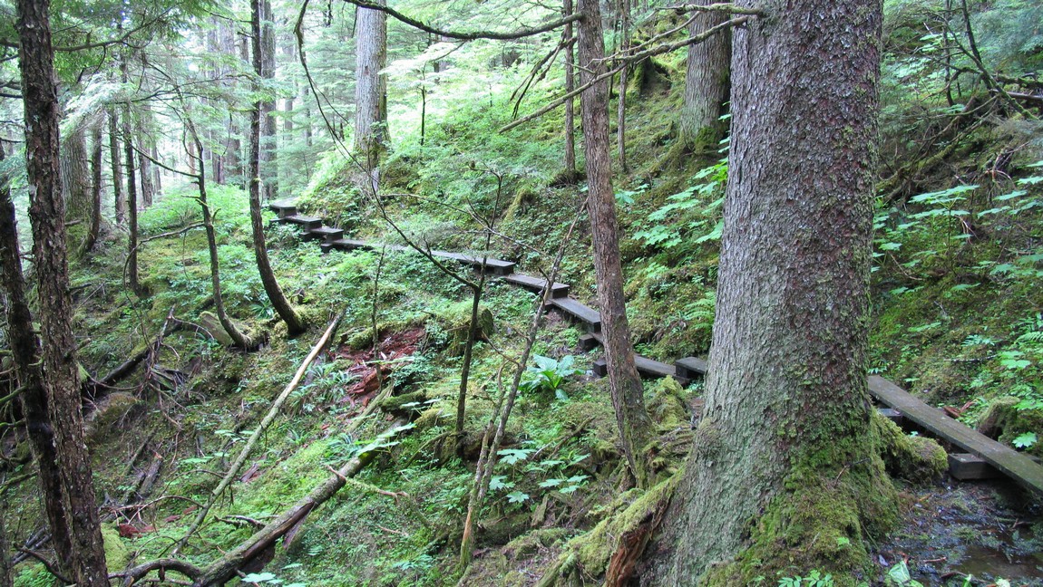 Descending the Rainbow Falls trail