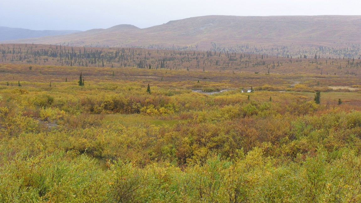 Fall colors in Eureka