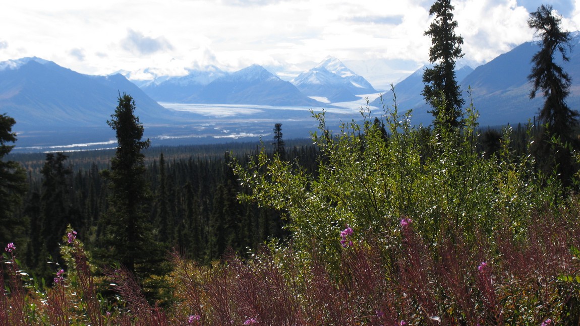 Matanuska Glacier