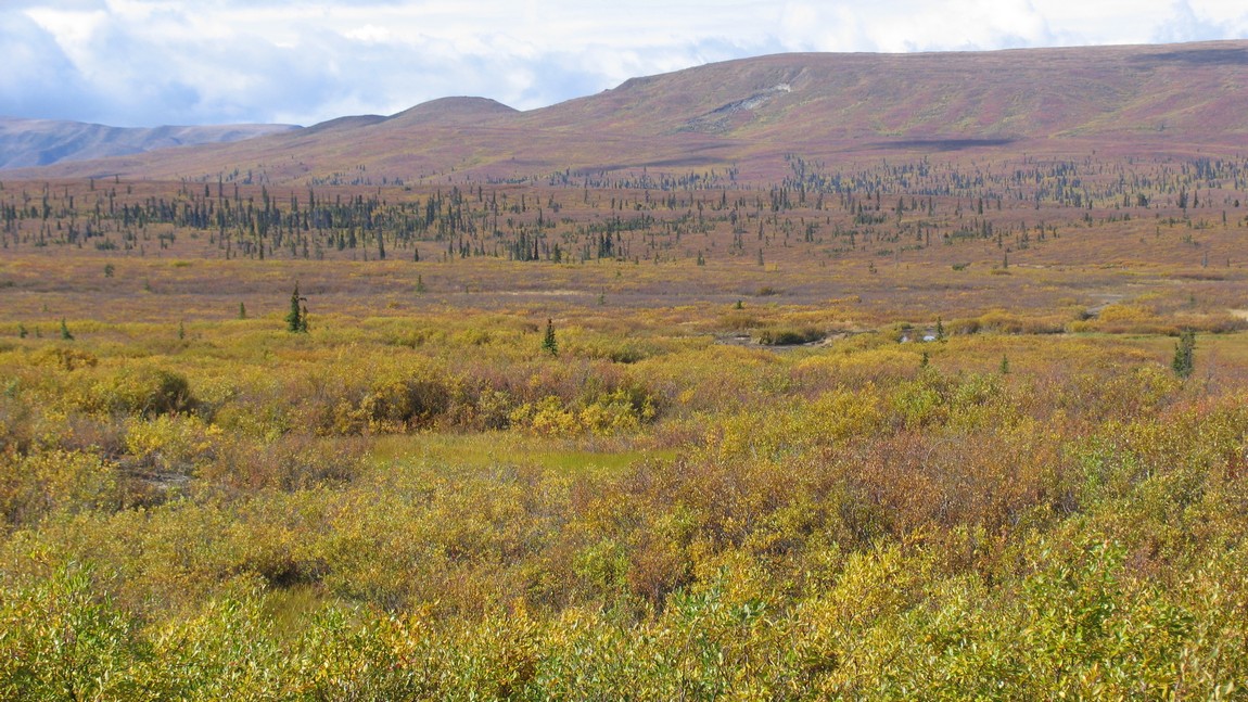 Fall colors in Eureka