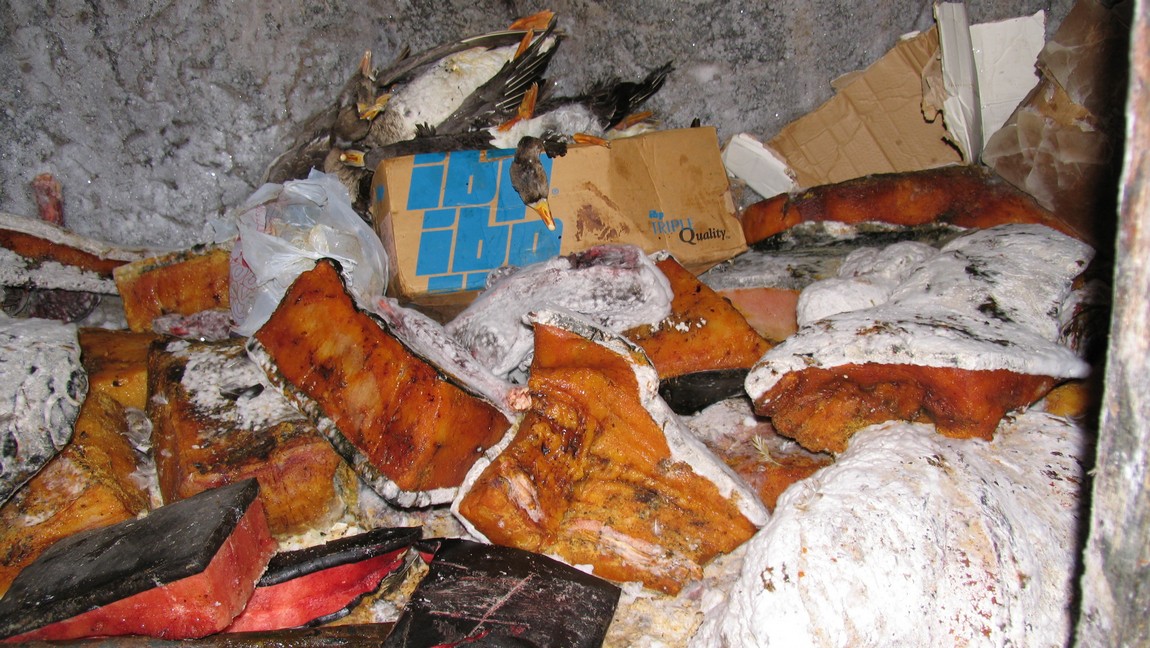 Underground permafrost cave