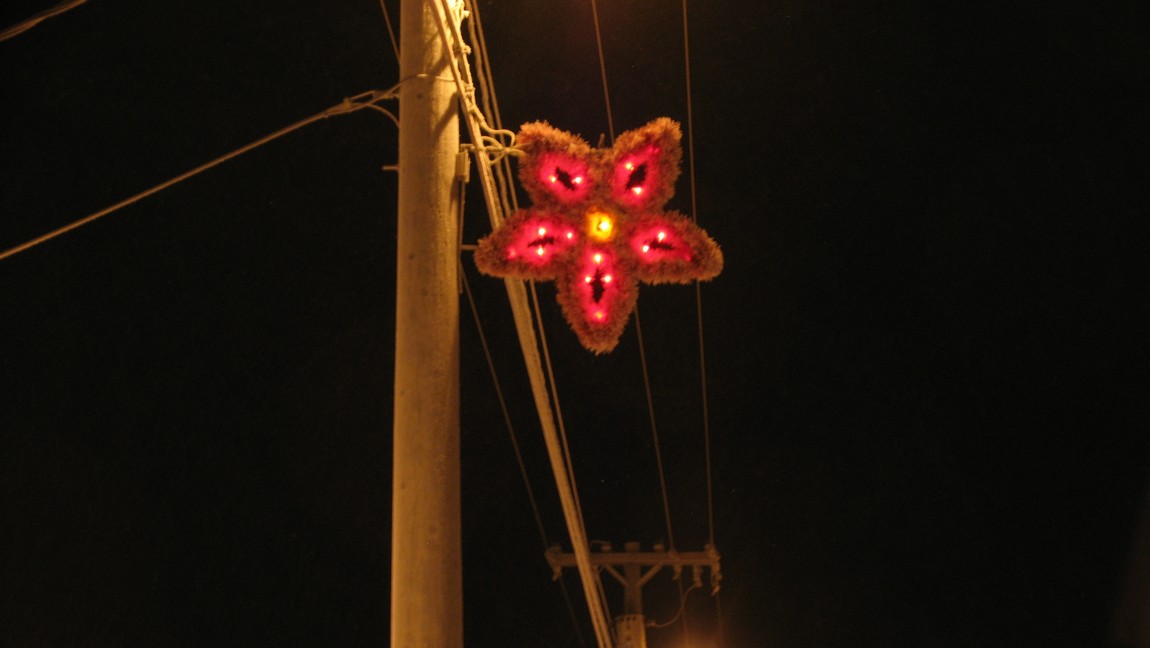 Christmas decorations