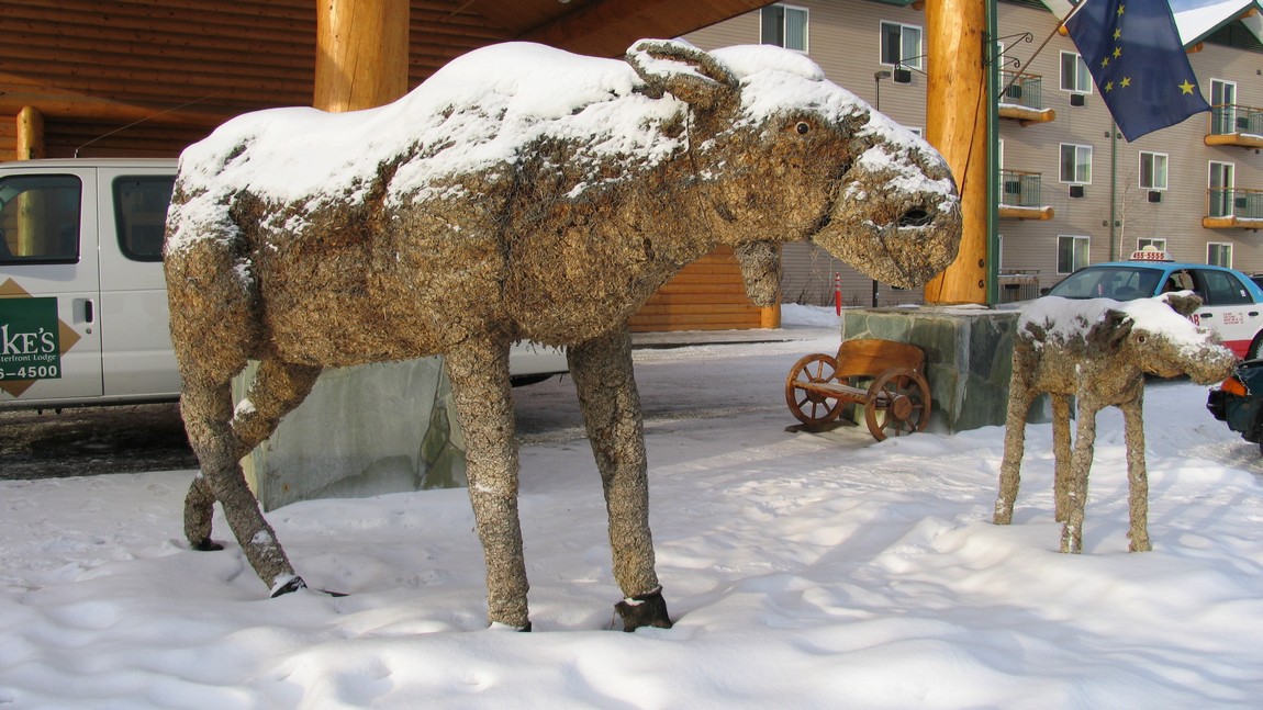 Moose sculptures
