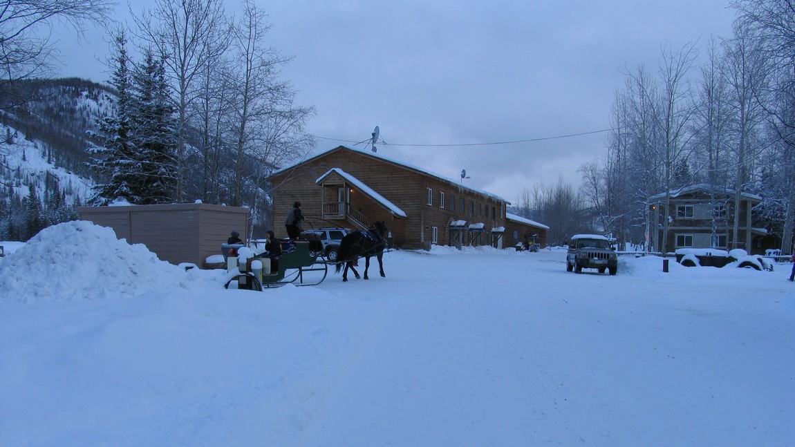 Horse and sled ride