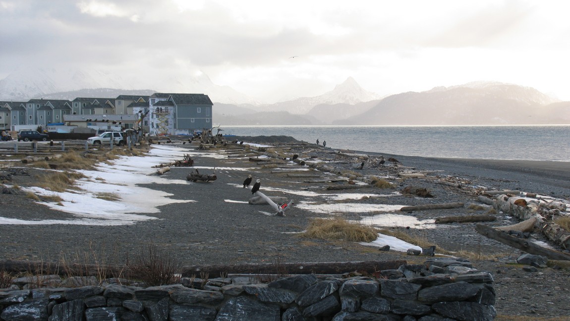 Beach area
