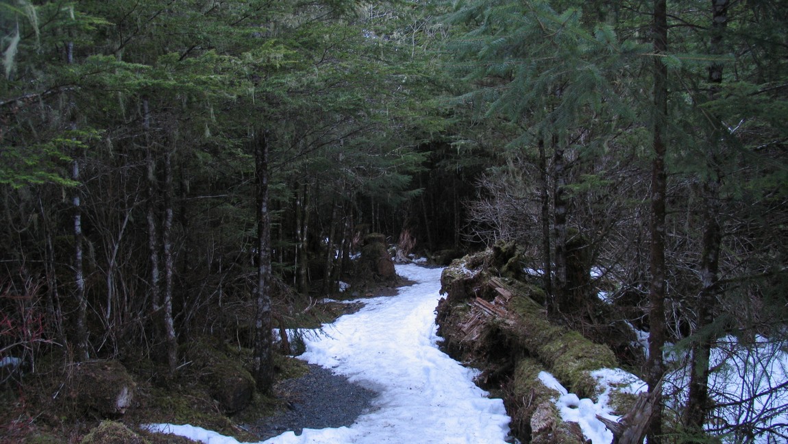 On Hungry Point Trail