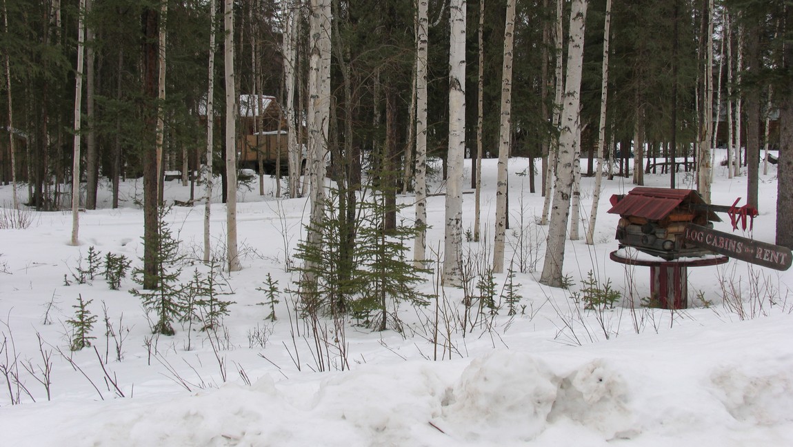 Cabins on the Steese Highway
