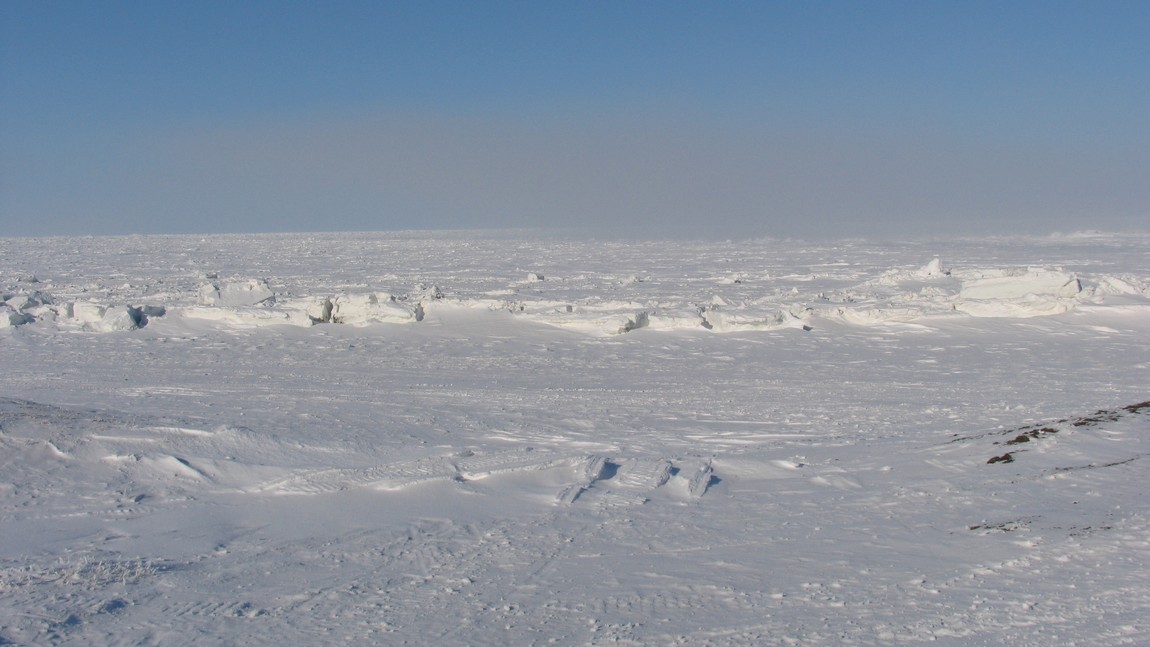 Frozen Arctic Ocean