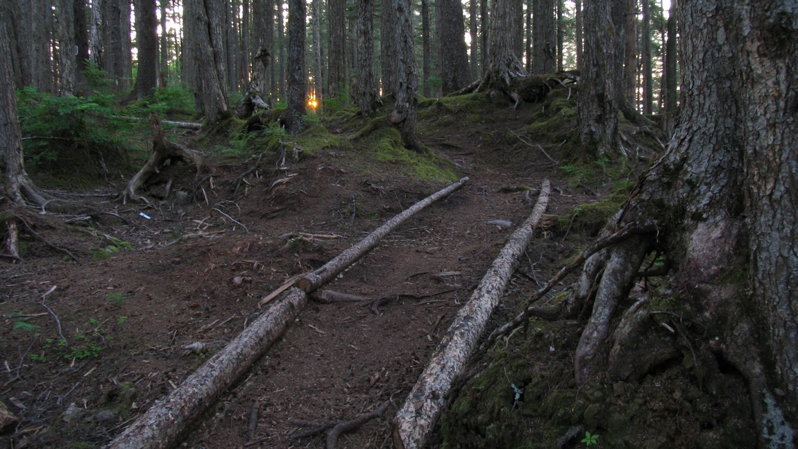On the top of Mount Dewey