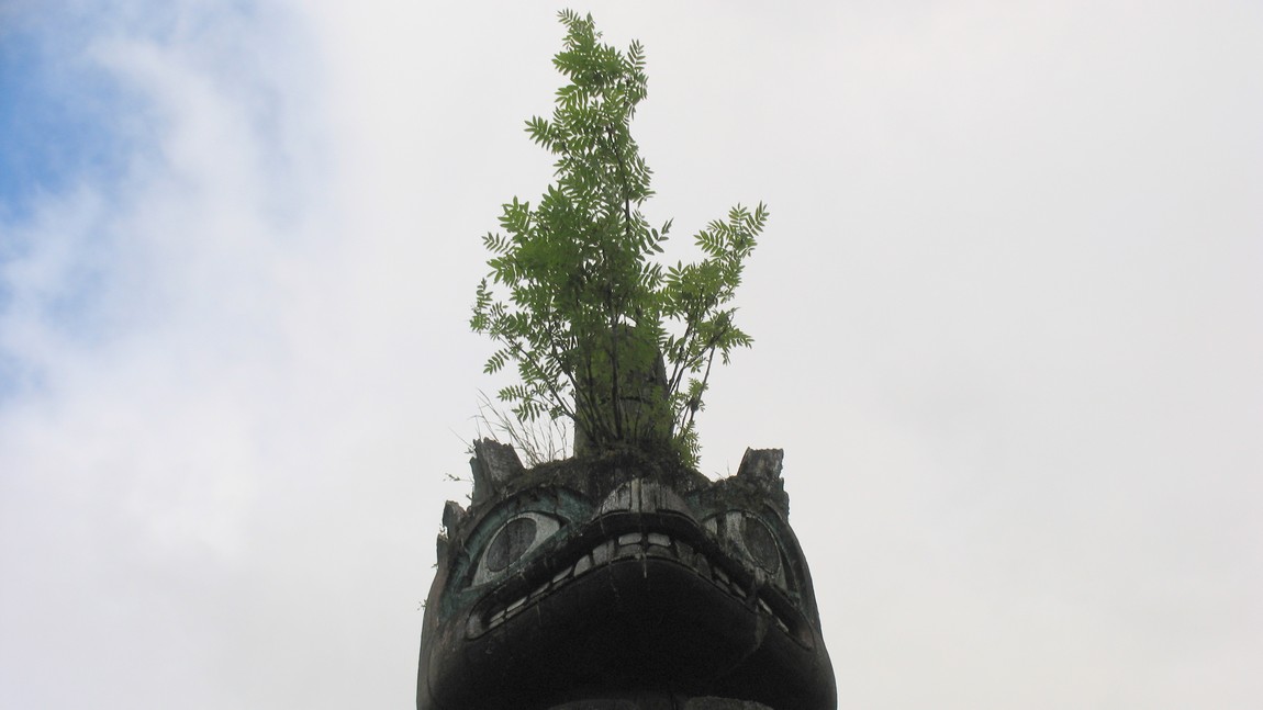 Plant growing out of the head