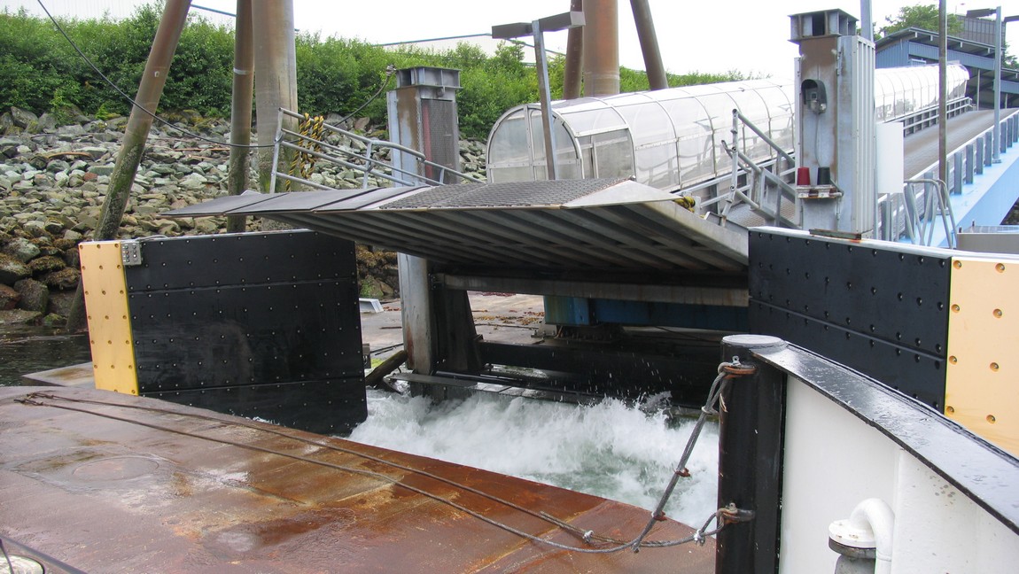 Arriving at the airport