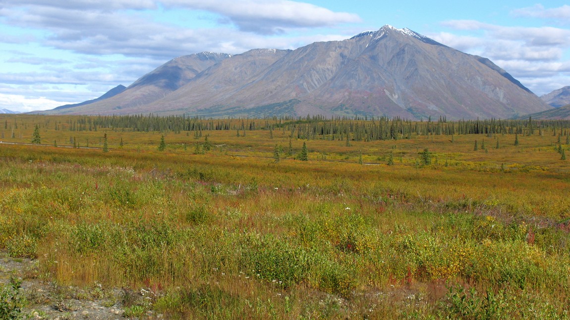 Fall colors in Broad Pass