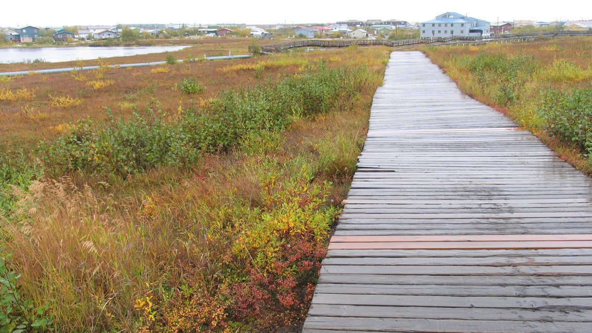 Pedestrian boardwalk