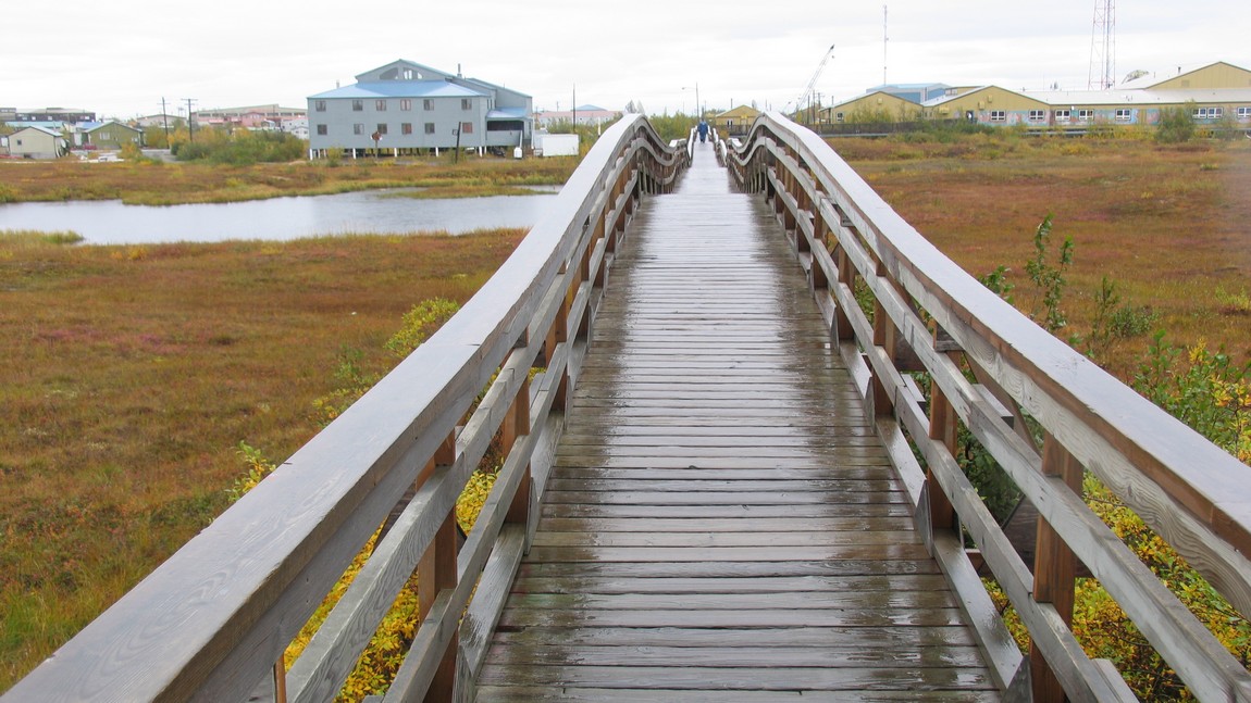 Raised pedestrian boardwalk