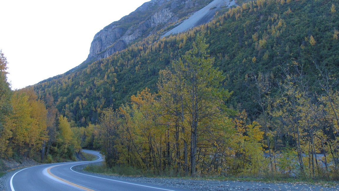 Fall colors near Chickaloon