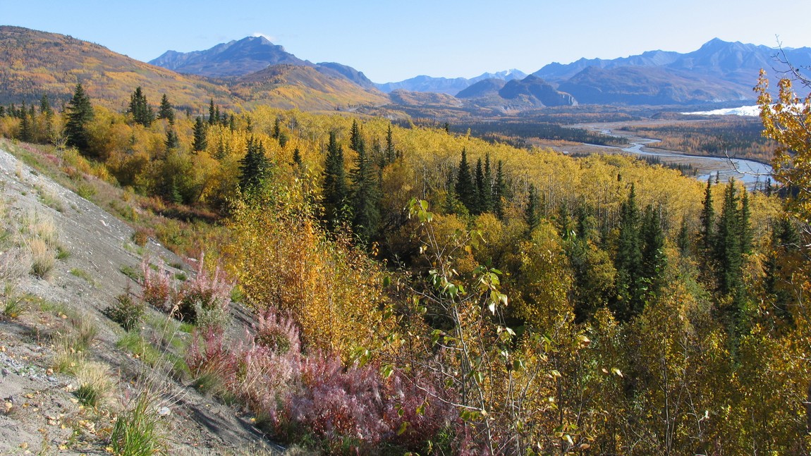 Fall colors near Glacier View