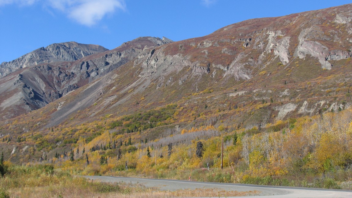Fall colors near Glacier View