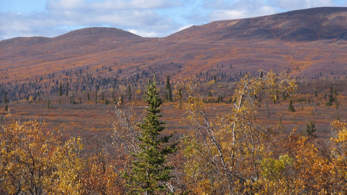 Hills two miles West of Eureka