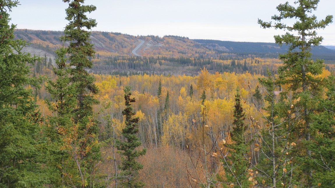 Fall colors near Tazlina