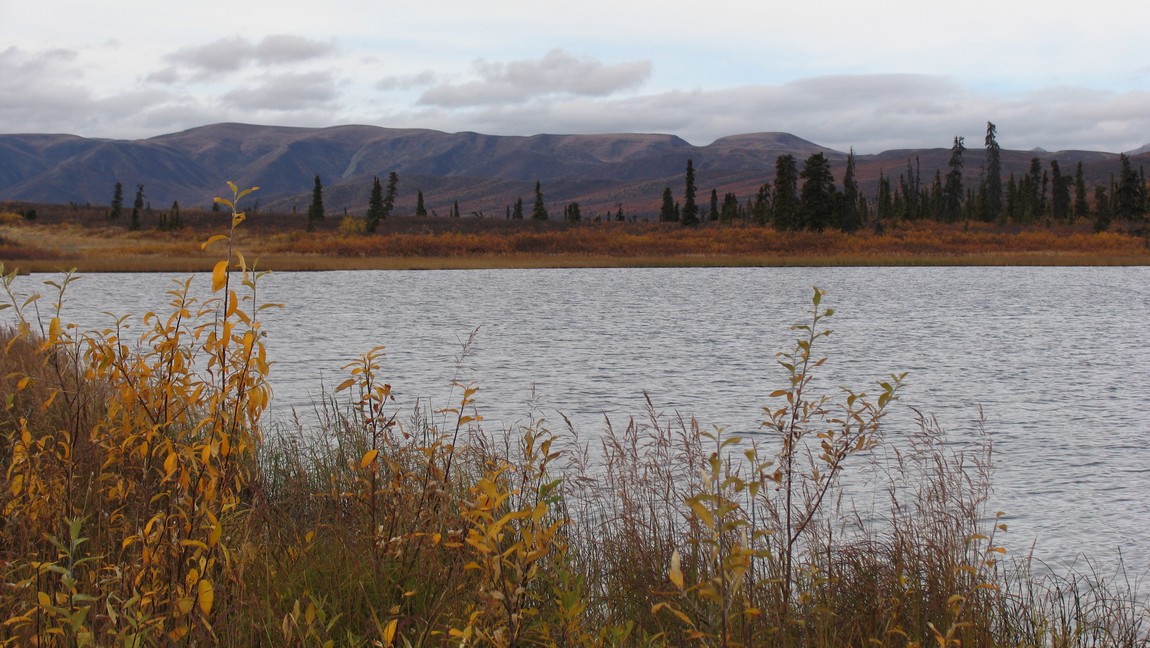 Fall colors near Eureka