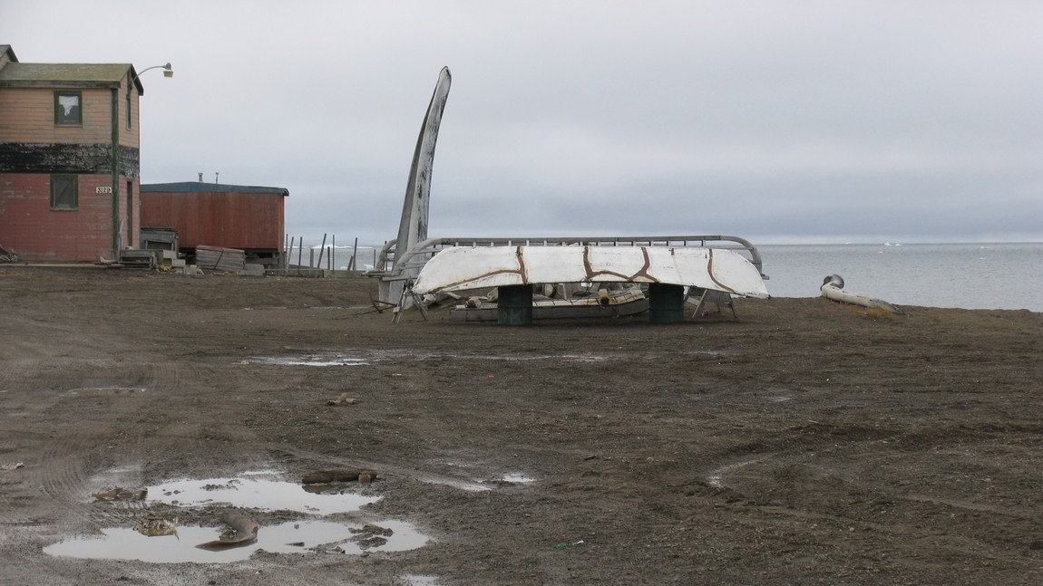 Whaling display