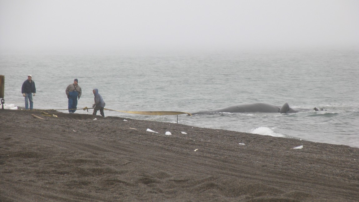 Bulldozer will be used