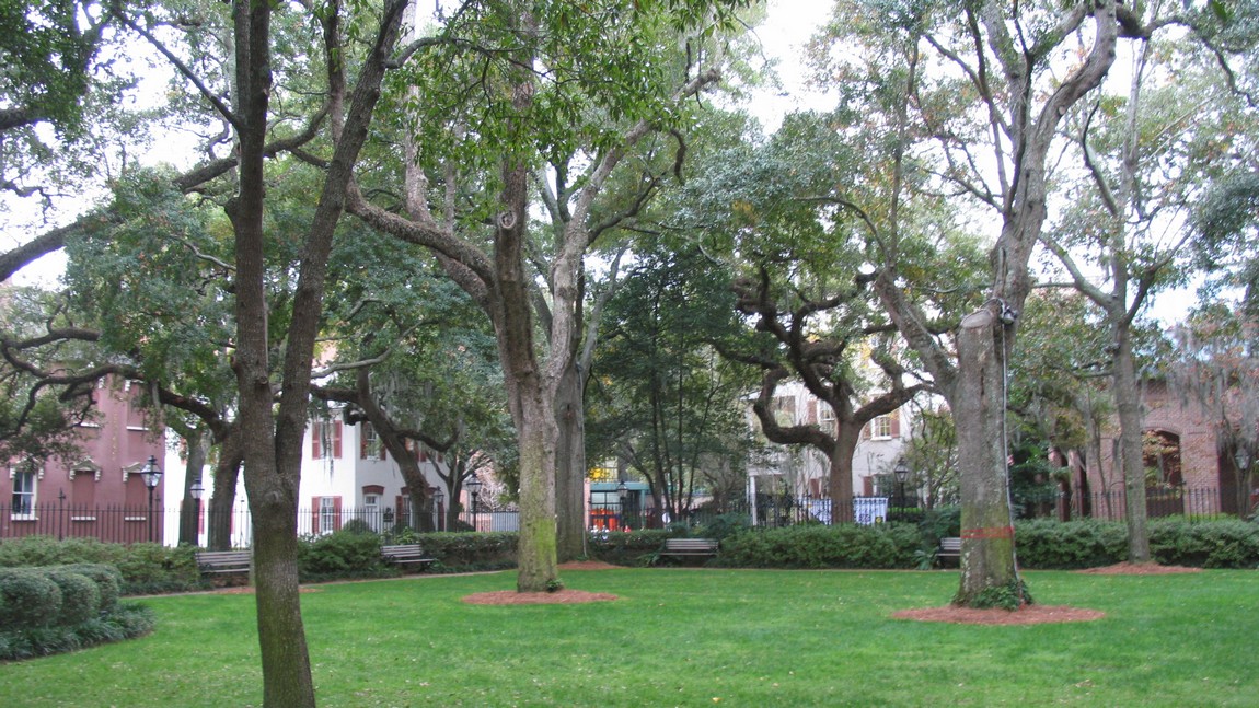 College of Charleston