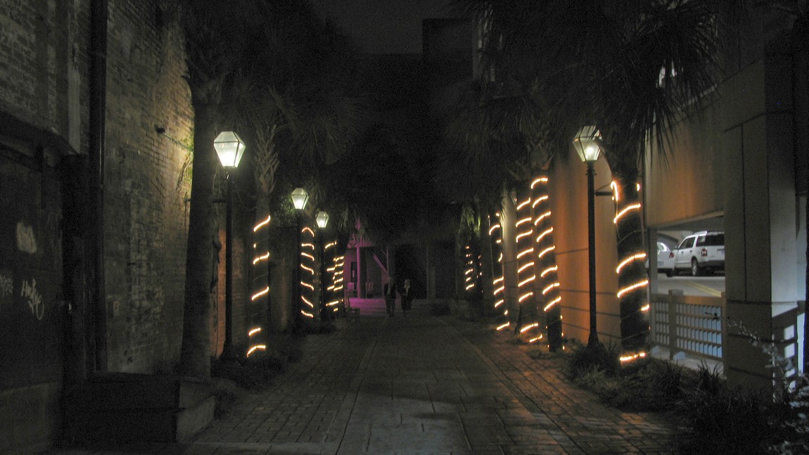Evening walk in Charleston