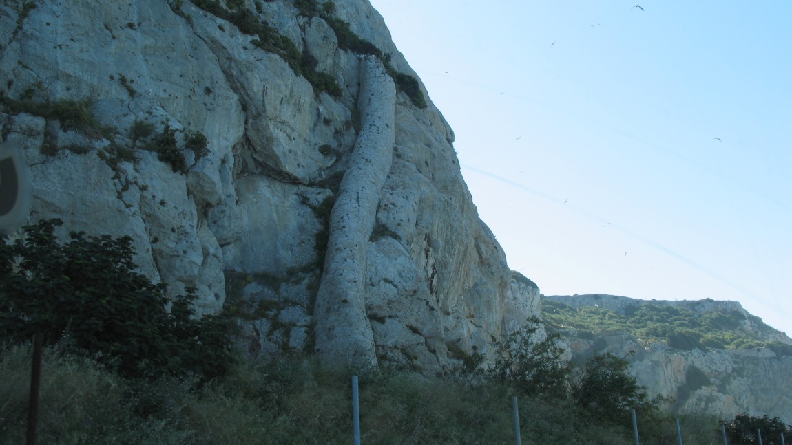 Unusual tube shaped structure