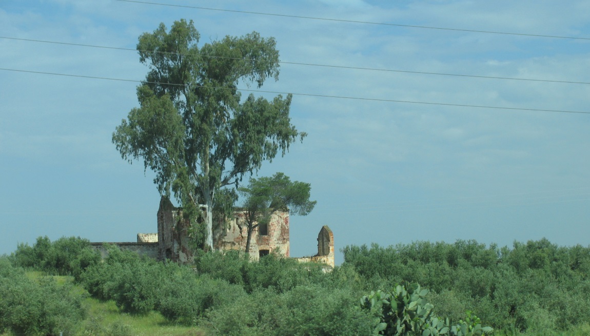 Driving from Seville to Madrid