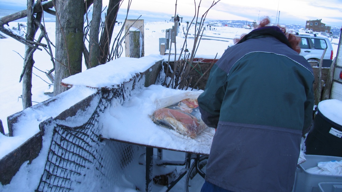 Preparing to feed the bald eagles
