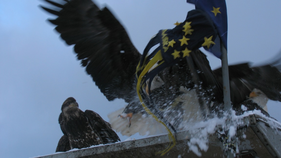 Scuffle happening above us