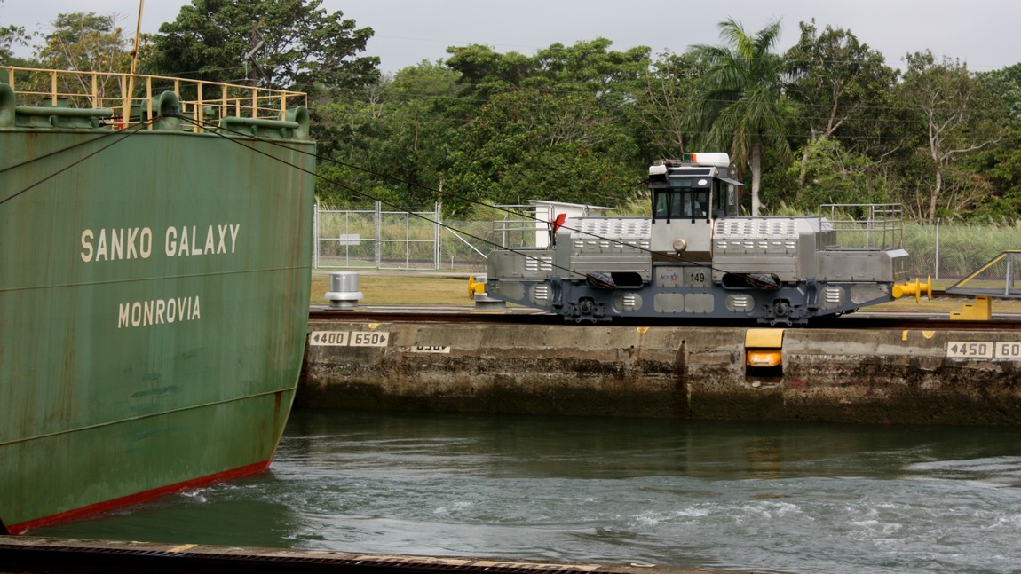 Mule guiding the ship next to us