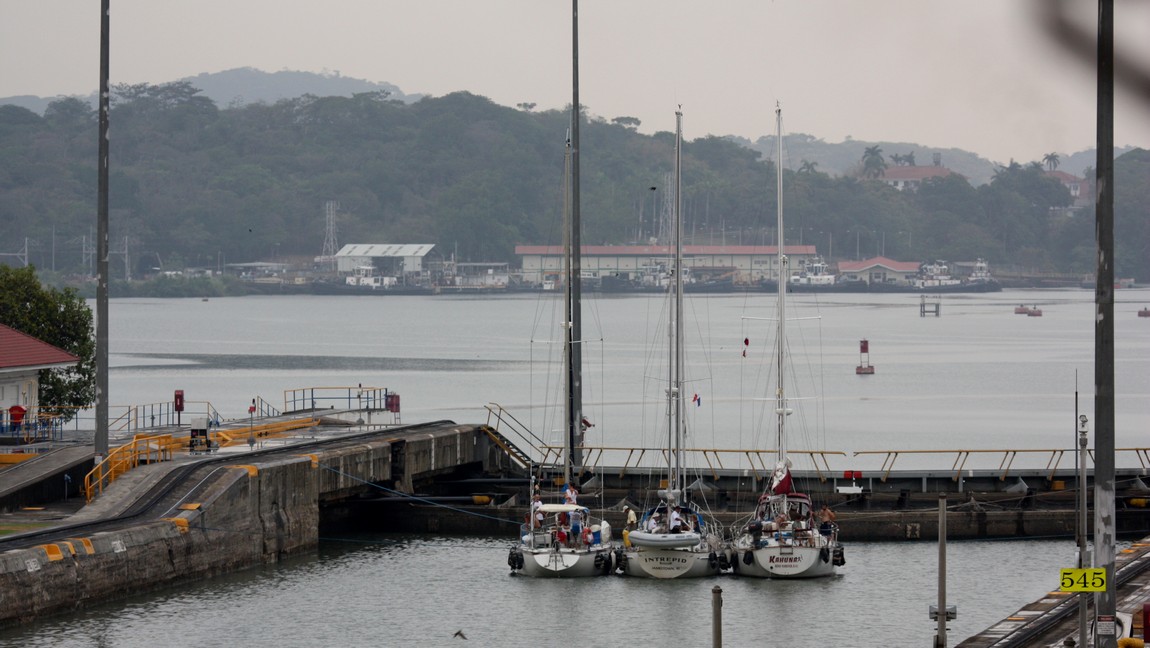 Three sailboats tied together
