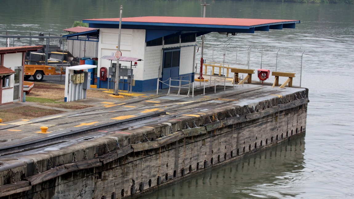 Note the damage to all the bumpers