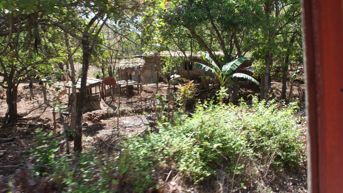 Rural bungalow