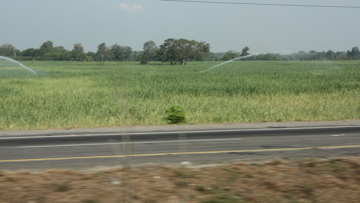 Passing a large farm