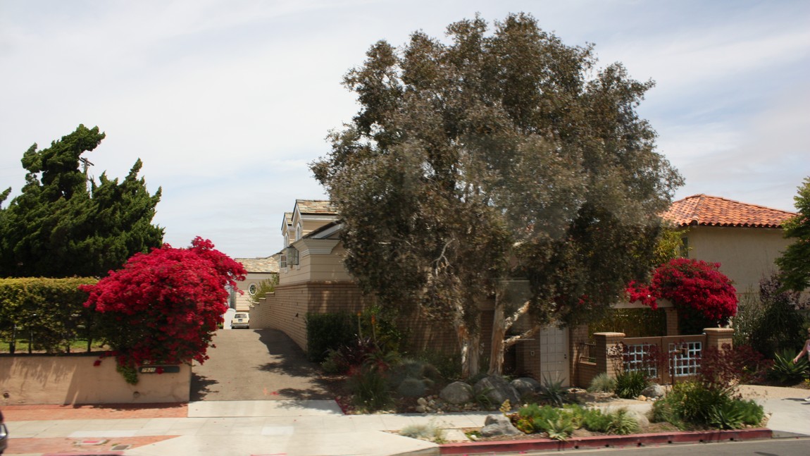 Houses with bright red flowering bushes