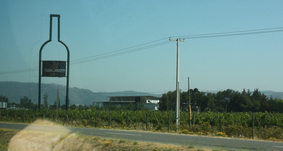 Tierra Vientos vineyard near Casablanca