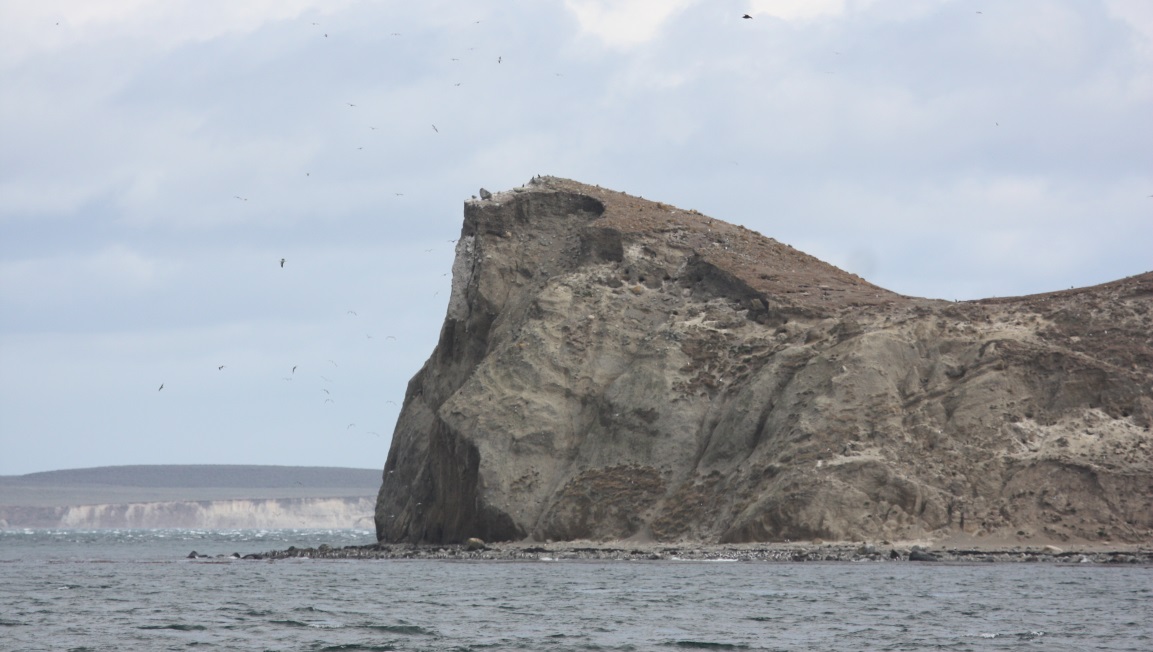 Approaching the penguin colony